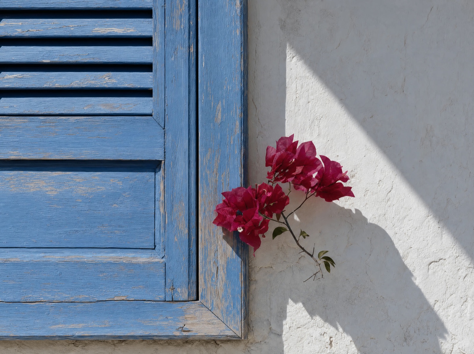 A weathered blue shutter with bougainvillea at the corner